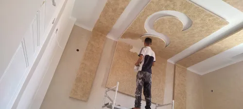 peinture  professionel et artistic