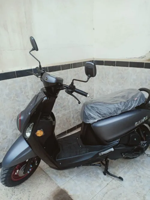 VMS CUXI 2025