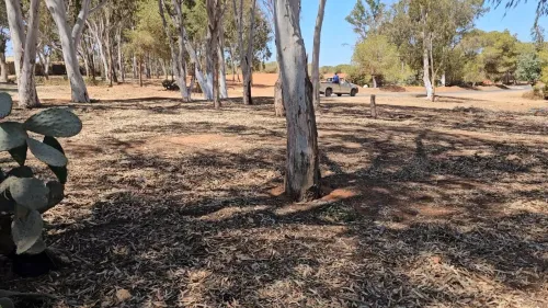 Vente Terrain Agricole Mostaganem Sidi lakhdaara