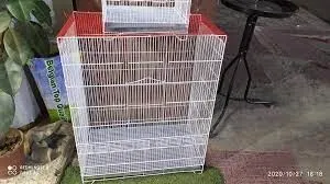 cage pour oiseaux 