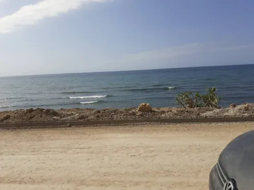 Vente Terrain Tipaza Bou ismail
