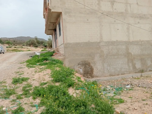 Vente Terrain Tlemcen Ouled mimoun