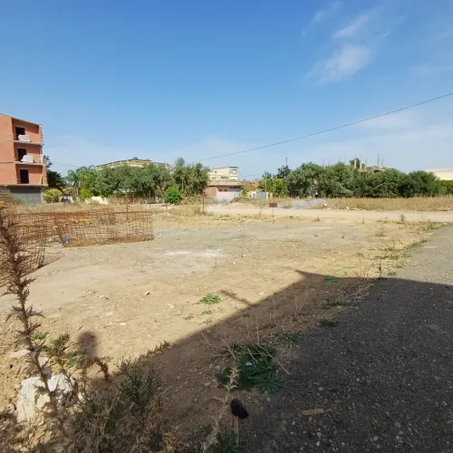 Vente Terrain Alger Ouled chebel