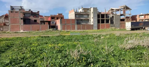 Vente Terrain Alger Ouled chebel
