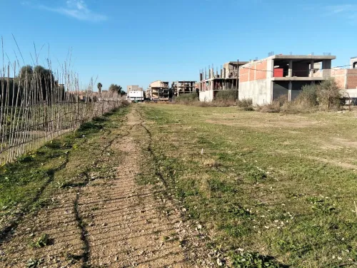 Vente Terrain Alger Birtouta