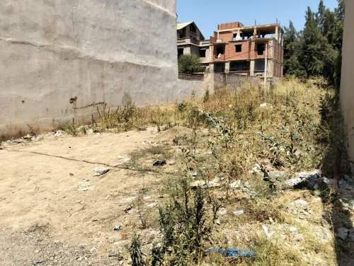 Vente Terrain Alger Ouled chebel