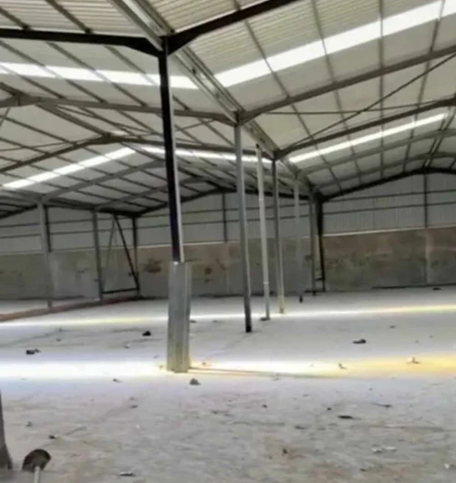 Location Hangar - Usine Blida Ouled selama