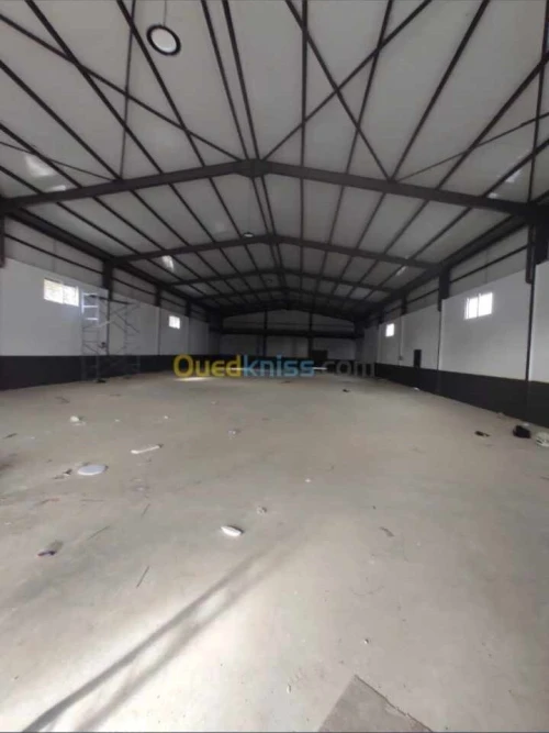 Location Hangar - Usine Alger Ouled chebel