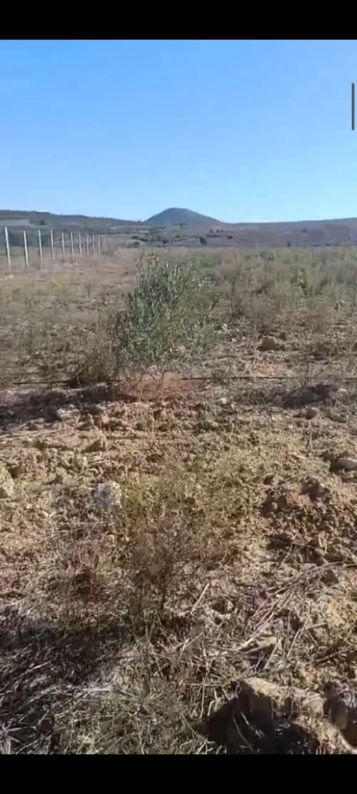 Vente Terrain Agricole Skikda Azzaba