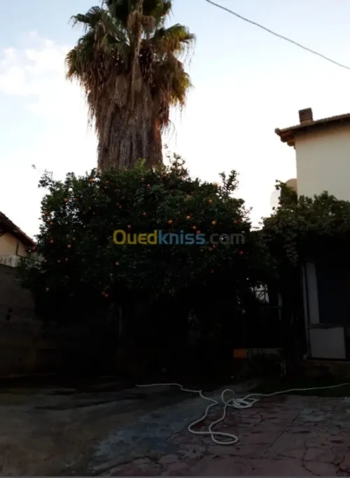Vente Villa Constantine Constantine