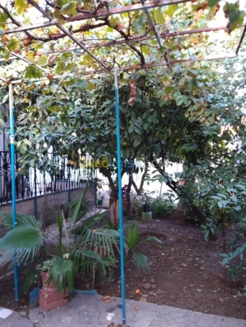 Vente Villa Constantine Constantine
