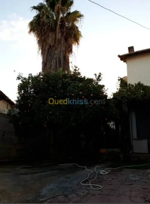 Vente Villa Constantine Constantine