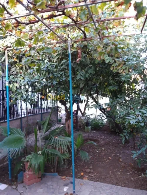 Vente Villa Constantine Constantine