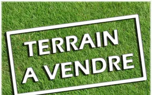Vente Terrain Tlemcen Zenata