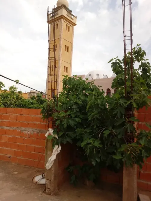 Vente Villa Ain temouchent Oulhaca el gheraba