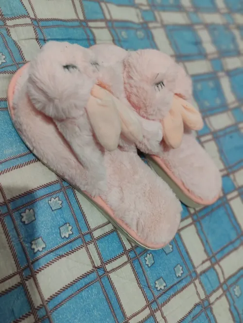 Pantoufles 