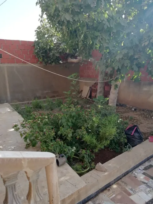 Vente Villa Tlemcen Msirda fouaga