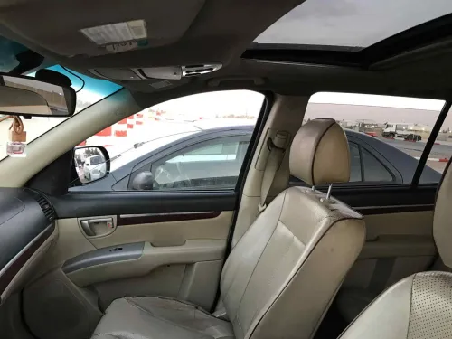 Hyundai SantaFe 2009 SantaFe