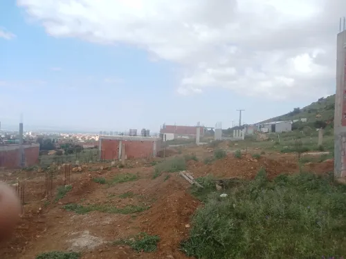 Vente Terrain Blida Guerrouaou