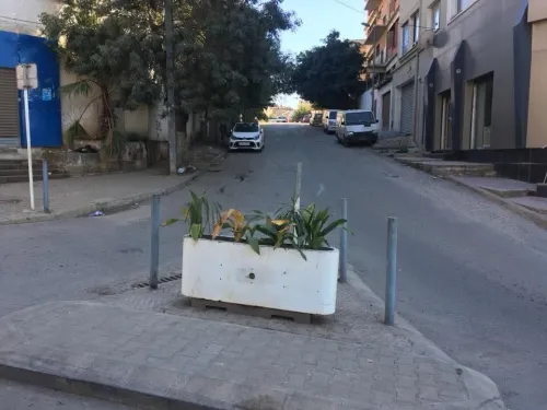 Location Local Alger El harrach