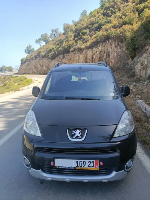 Peugeot Partner 2009 Tepee