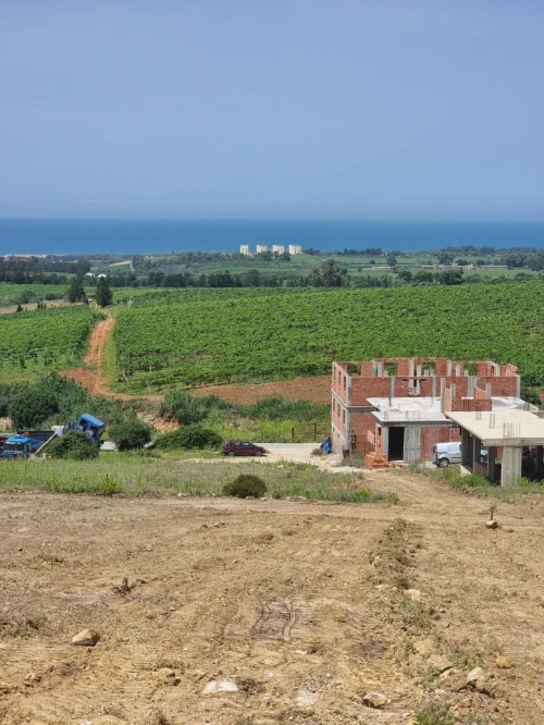 Vente Terrain Boumerdes Zemmouri