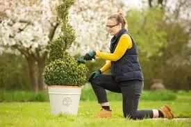 taille-herbe / sculpte-buisson ISIO Bosch
