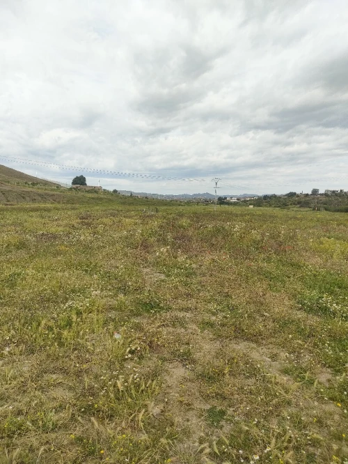 Vente Terrain Agricole Bordj Bou Arreridj Bordj bou arreridj