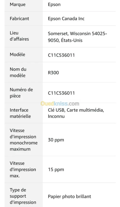 imprimante jet d'encre Epson Stylus Photo R300 .