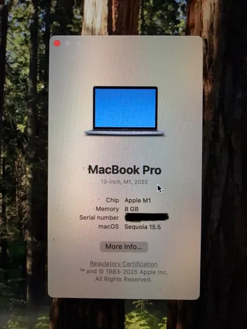 Macbook pro M1 2020 8 gb 