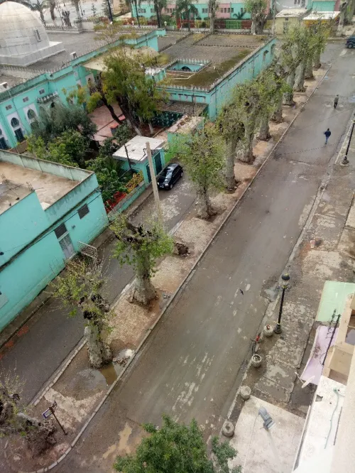 Location Appartement F3 Blida Boufarik