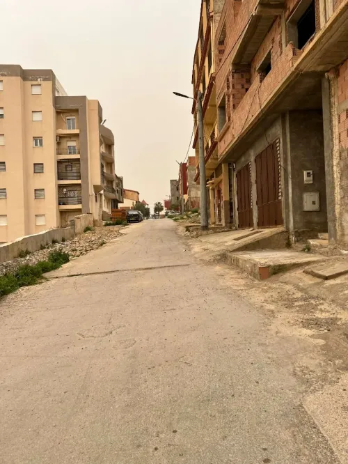 Location Local Tlemcen Mansourah