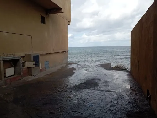 Vente Bungalow Tipaza Douaouda