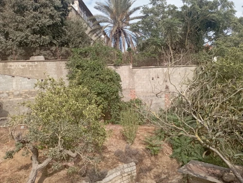 Vente Terrain Alger Bouzareah