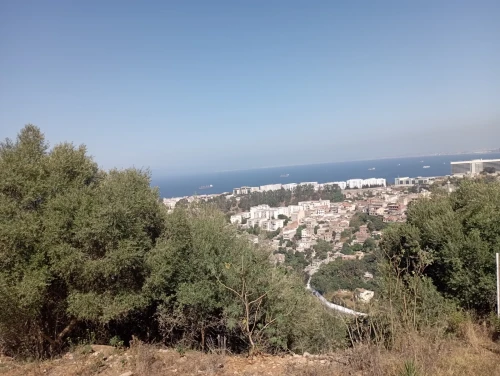 Vente Villa Alger Bouzareah