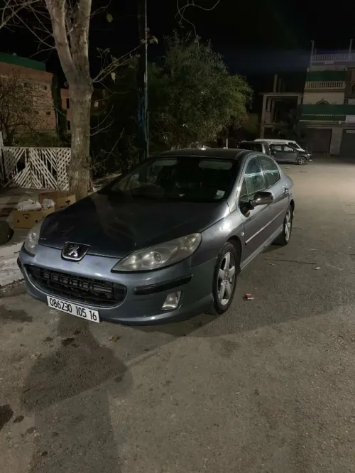 Peugeot 407 2005 407