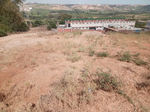 Vente Terrain Boumerdès Boudouaou