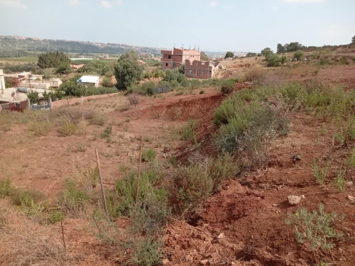 Vente Terrain Boumerdès Boudouaou