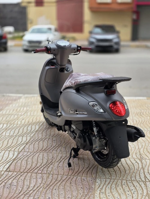 Sym Fiddel 2 2026