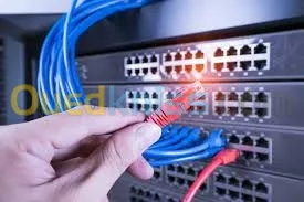 cable reseau et telephonique