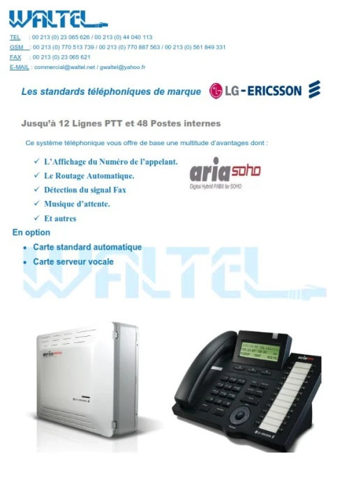 Audio conférence POLYCOM VoiceStation 300