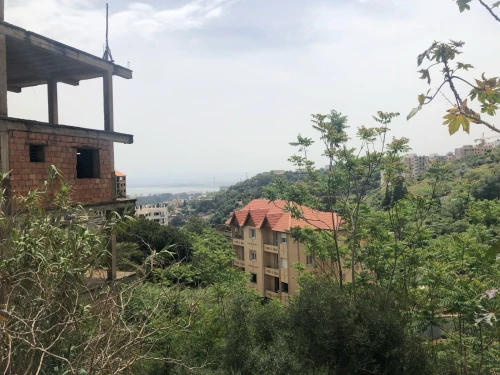 Vente Terrain Alger Bouzareah