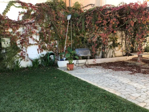 Vente Villa Alger Draria