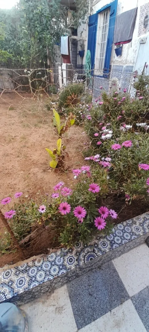 Vente Villa Mostaganem Mostaganem
