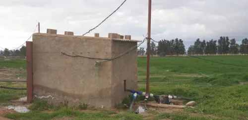Vente Terrain Djelfa Ain oussara