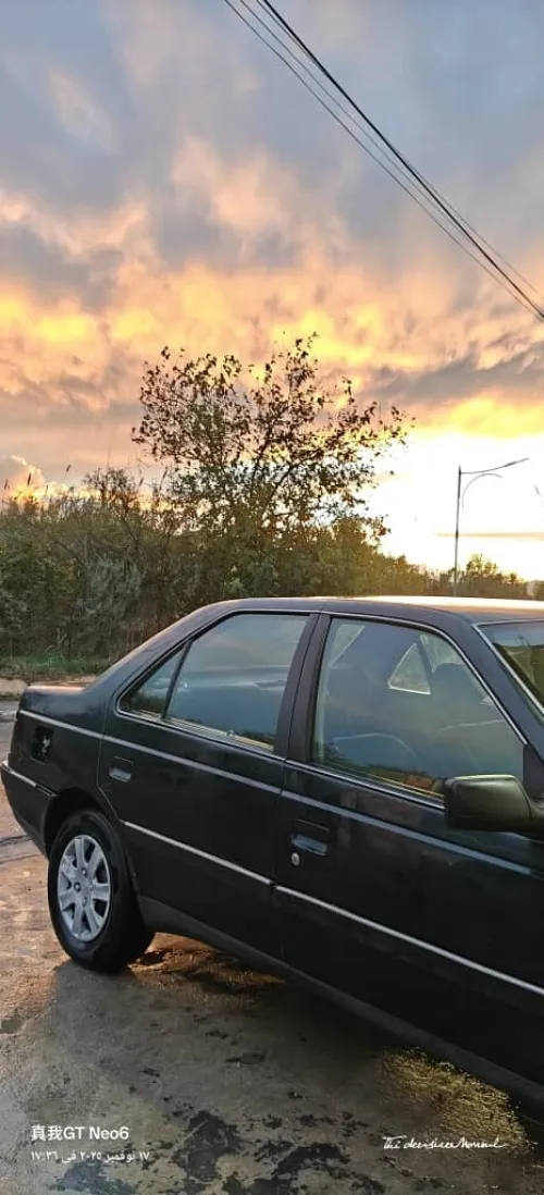 Peugeot 405 1993 405