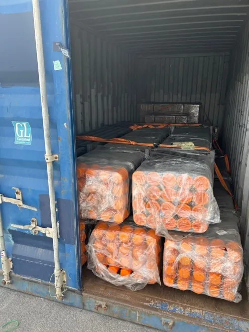 Tige de forages 3 m