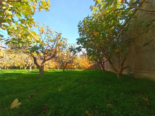 Vente Terrain Blida Ouled selama