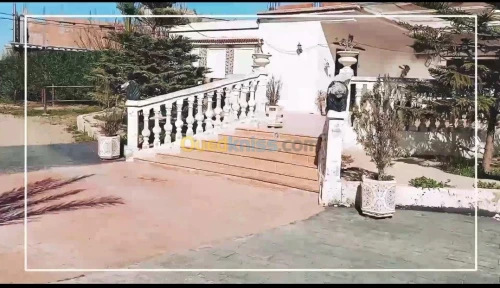 Vente Terrain Agricole Mostaganem Ouled el kheir