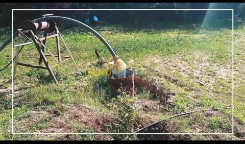 Vente Terrain Agricole Mostaganem Ouled el kheir